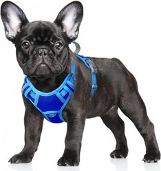 BARKBAY Air Reflective No-Pull Dog Harness with ID Tag Pocket, Sapphire Blue & Blue, Small: 19.5 to 26-in chest