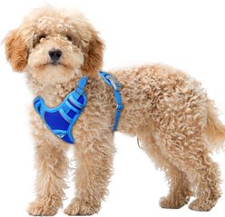 BARKBAY Air Reflective No-Pull Dog Harness with ID Tag Pocket, Sapphire Blue & Blue, X-Small: 15.5 to 19.5-in chest