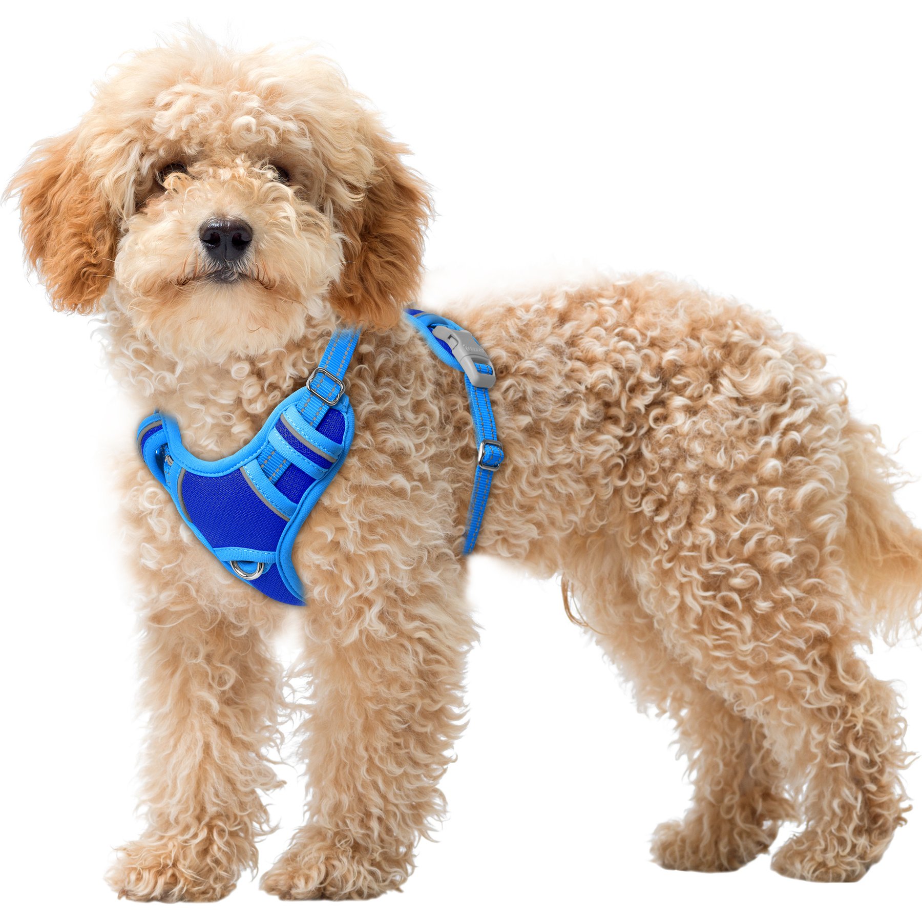 BARKBAY Air Reflective No-Pull Dog Harness with ID Tag Pocket, Sapphire Blue & Blue, X-Small: 15.5 to 19.5-in chest