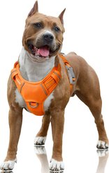BARKBAY Air Reflective No-Pull Dog Harness with ID Tag Pocket, Orange, Large: 24.5 to 32.5-in chest