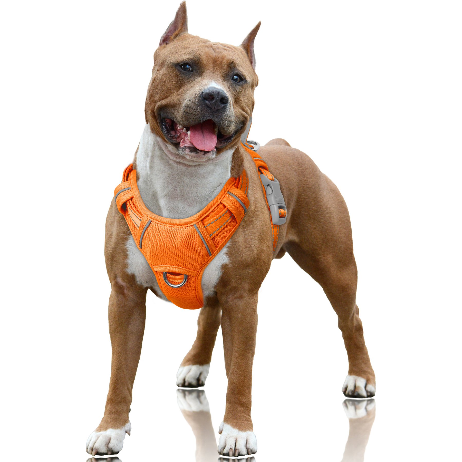BARKBAY Air Reflective No-Pull Dog Harness with ID Tag Pocket, Orange, Large: 24.5 to 32.5-in chest