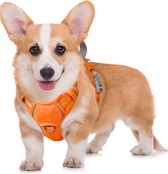 BARKBAY Air Reflective No-Pull Dog Harness with ID Tag Pocket, Orange, Medium: 22.5 to 28-in chest