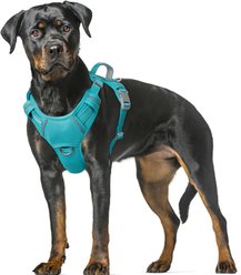 BARKBAY Air Reflective No-Pull Dog Harness with ID Tag Pocket, Ocean Blue, X-Large: 30 to 38-in chest