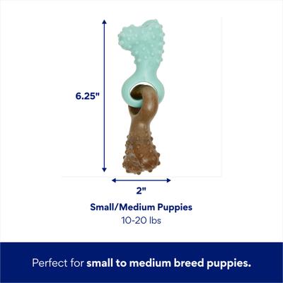 Show full view: Frisco Bacon Flavored Interlocking Bone Nylon & TPR Dental Teether Chew Puppy Toy for Moderate Chewers, Small slide 2 of 10