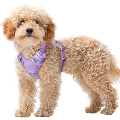 BARKBAY BARKBAY Air Reflective No-Pull Dog Harness with ID Tag Pocket, Lavender Sky, X-Small: 15.5 to 19.5-in chest