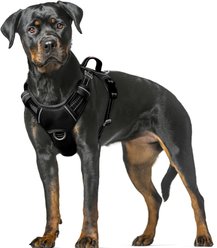 BARKBAY Air Reflective No-Pull Dog Harness with ID Tag Pocket, Black, X-Large: 30 to 38-in chest