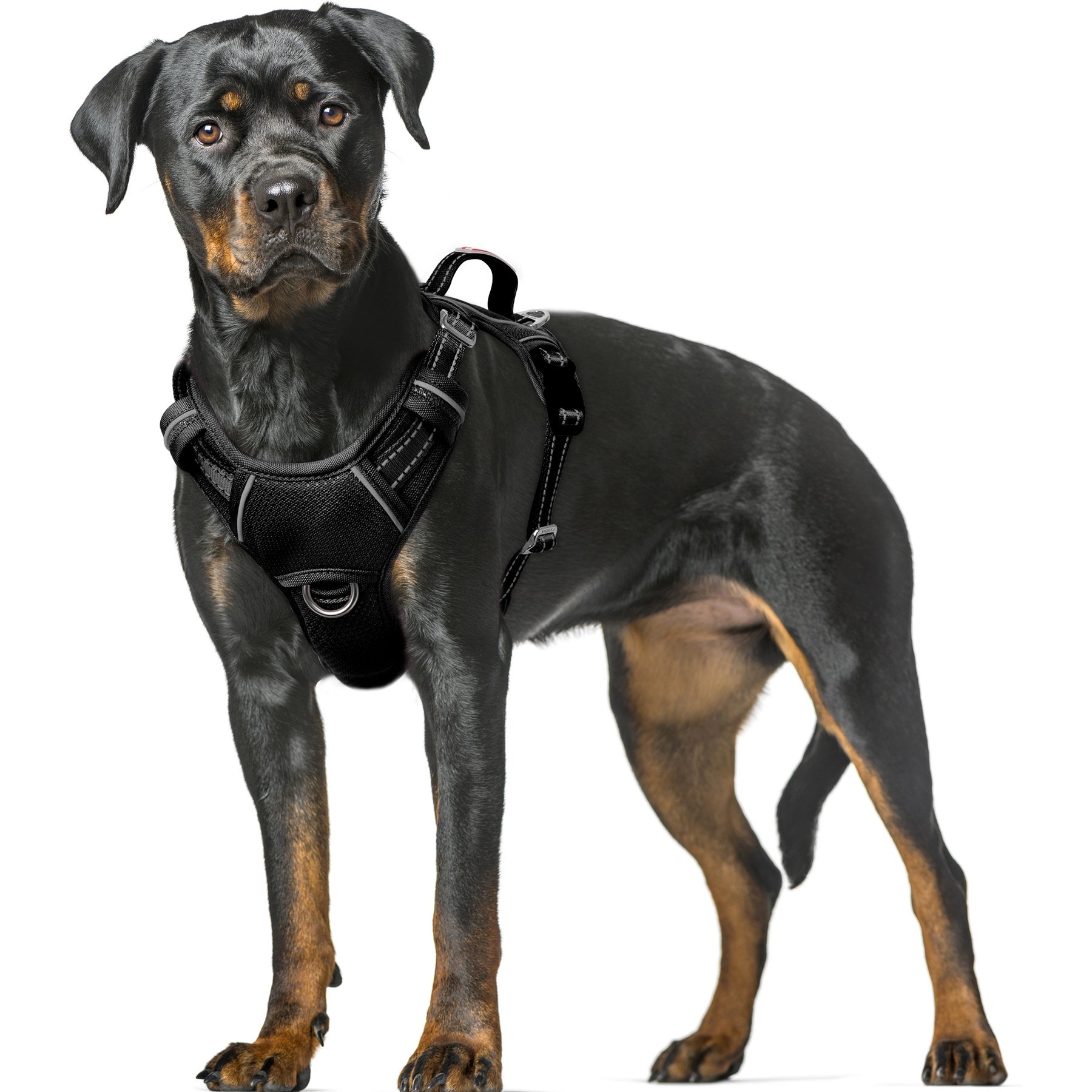 BARKBAY Air Reflective No-Pull Dog Harness with ID Tag Pocket, Black, X-Large: 30 to 38-in chest