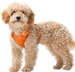 BARKBAY Air Reflective No-Pull Dog Harness with ID Tag Pocket, Orange, X-Small: 15.5 to 19.5-in chest