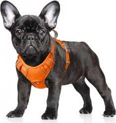 BARKBAY Air Reflective No-Pull Dog Harness with ID Tag Pocket, Orange, Small: 19.5 to 26-in chest