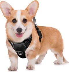 BARKBAY Air Reflective No-Pull Dog Harness with ID Tag Pocket, Black, Medium: 22.5 to 28-in chest