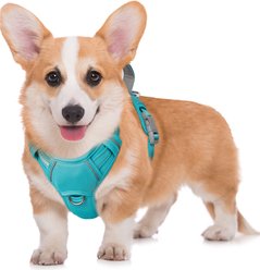 BARKBAY Air Reflective No-Pull Dog Harness with ID Tag Pocket, Ocean Blue, Medium: 22.5 to 28-in chest