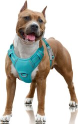 BARKBAY Air Reflective No-Pull Dog Harness with ID Tag Pocket, Ocean Blue, Large: 24.5 to 32.5-in chest
