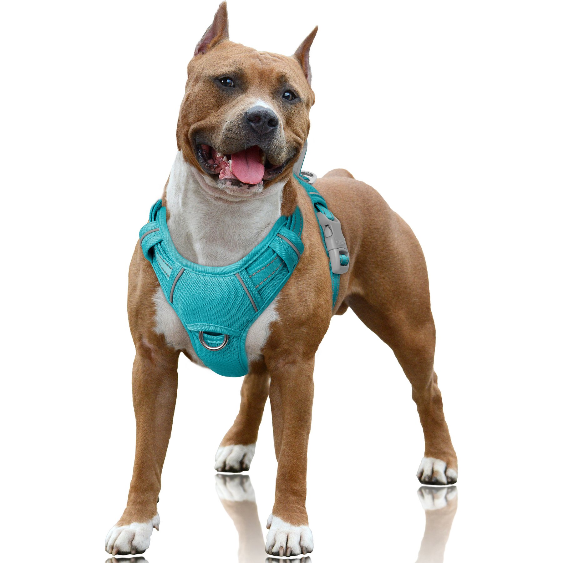 BARKBAY Air Reflective No-Pull Dog Harness with ID Tag Pocket, Ocean Blue, Large: 24.5 to 32.5-in chest