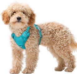 BARKBAY Air Reflective No-Pull Dog Harness with ID Tag Pocket, Ocean Blue, X-Small: 15.5 to 19.5-in chest