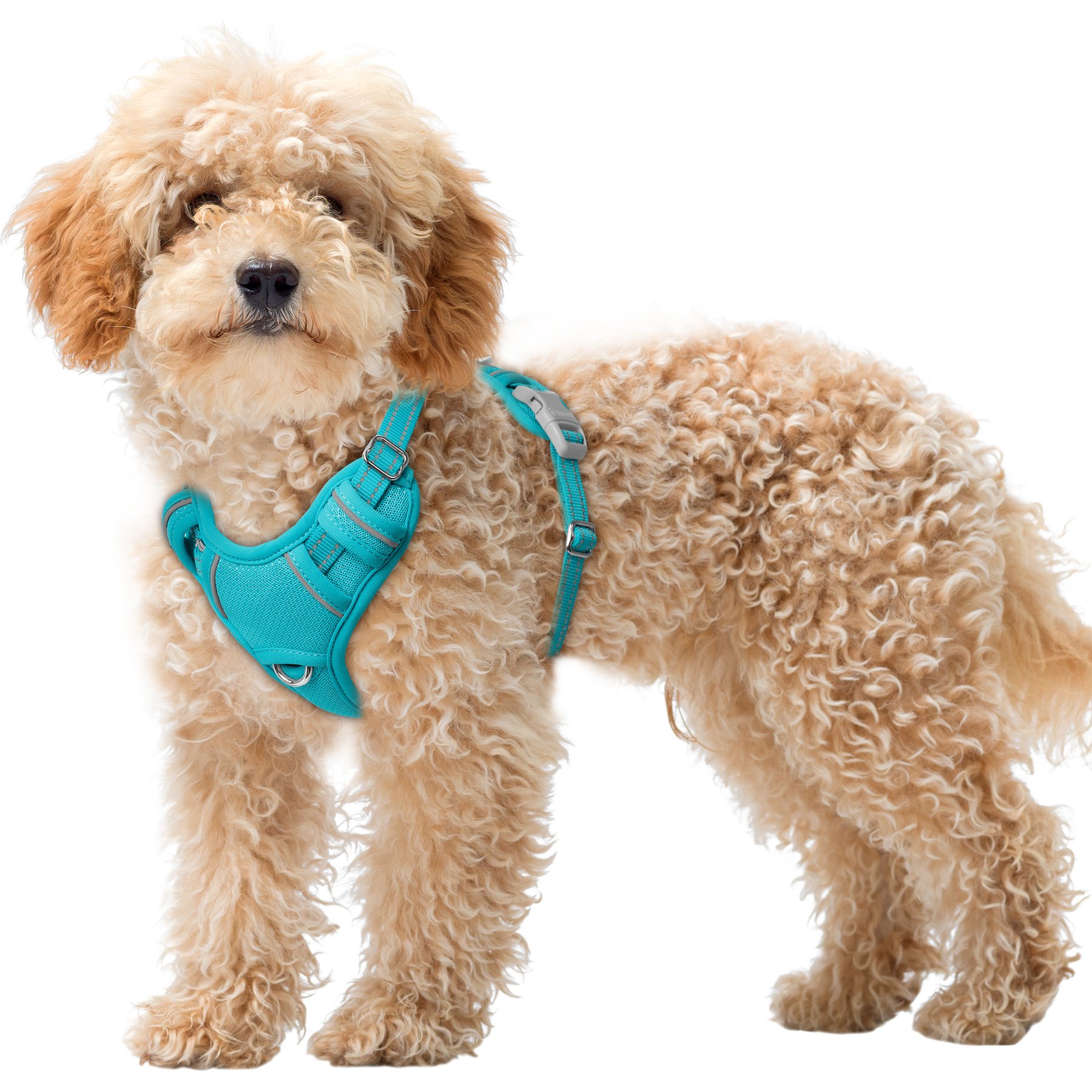 BARKBAY Air Reflective No-Pull Dog Harness with ID Tag Pocket, Ocean Blue, X-Small: 15.5 to 19.5-in chest