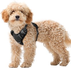 BARKBAY Air Reflective No-Pull Dog Harness with ID Tag Pocket, Black, X-Small: 15.5 to 19.5-in chest