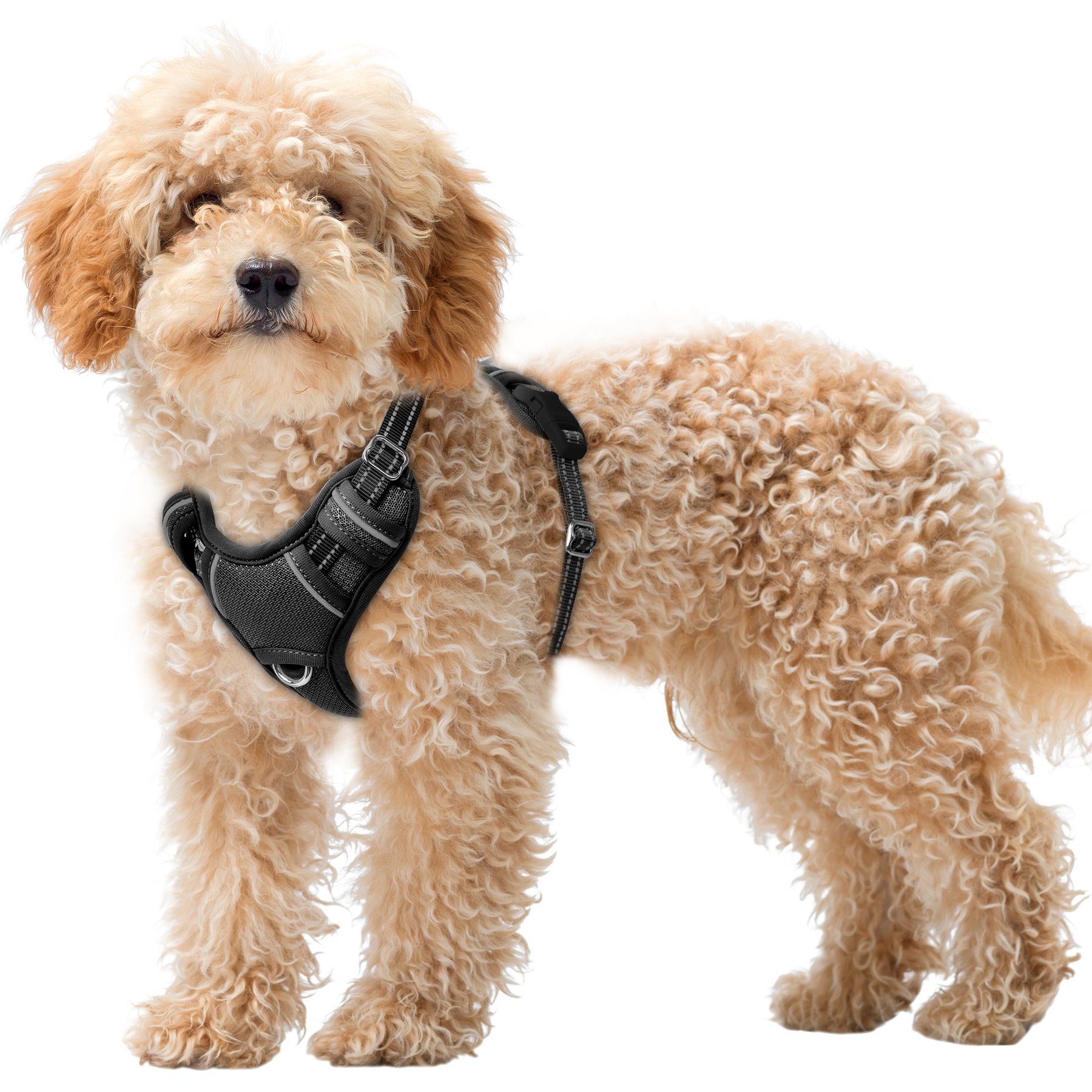 BARKBAY Air Reflective No-Pull Dog Harness with ID Tag Pocket, Black, X-Small: 15.5 to 19.5-in chest