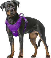BARKBAY Air Reflective No-Pull Dog Harness with ID Tag Pocket, Purple, X-Large: 30 to 38-in chest