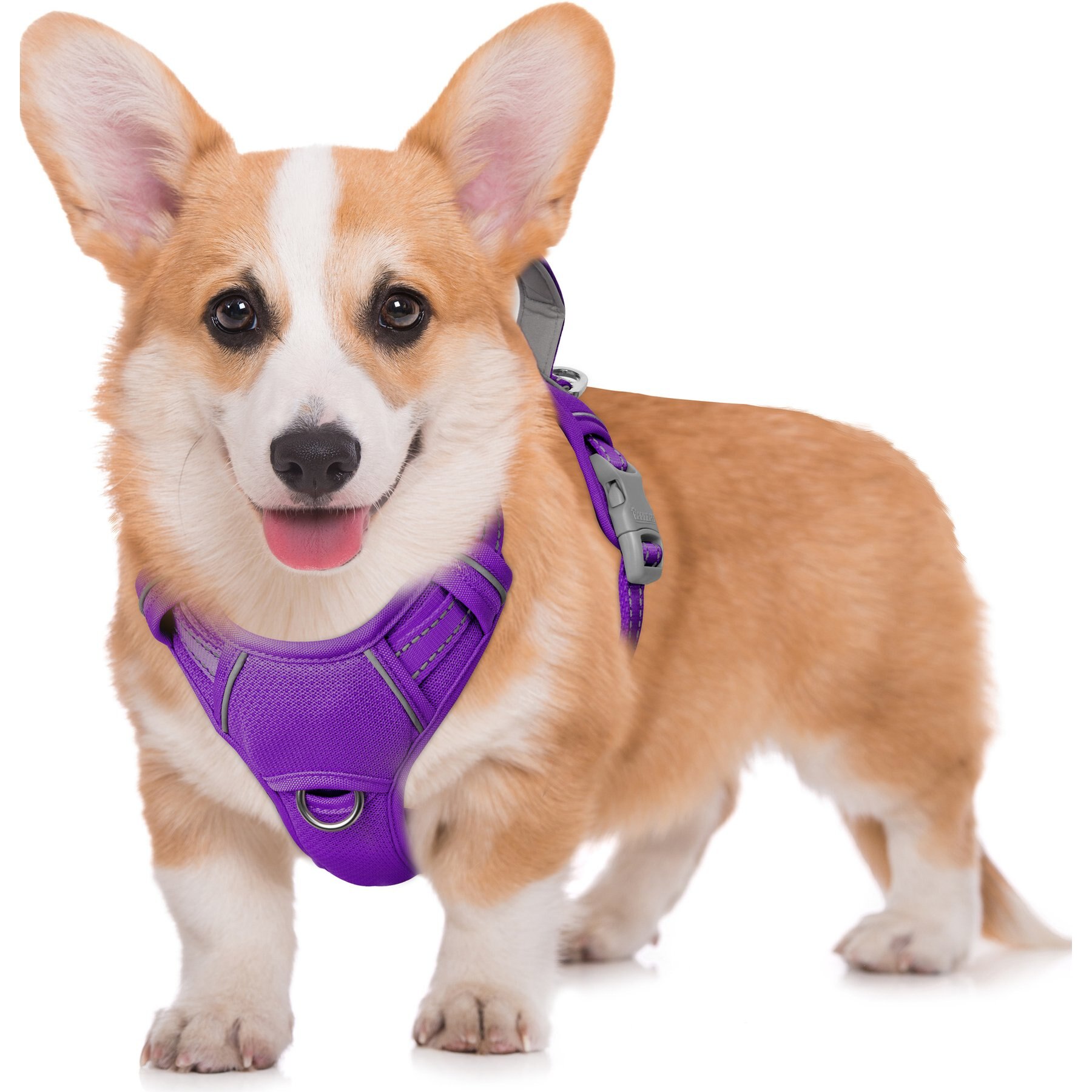 BARKBAY Air Reflective No-Pull Dog Harness with ID Tag Pocket, Purple, Medium: 22.5 to 28-in chest