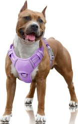 BARKBAY Air Reflective No-Pull Dog Harness with ID Tag Pocket, Violet Purple, Large: 24.5 to 32.5-in chest