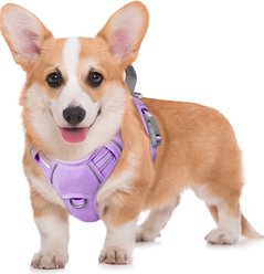 BARKBAY Air Reflective No-Pull Dog Harness with ID Tag Pocket, Violet Purple, Medium: 22.5 to 28-in chest