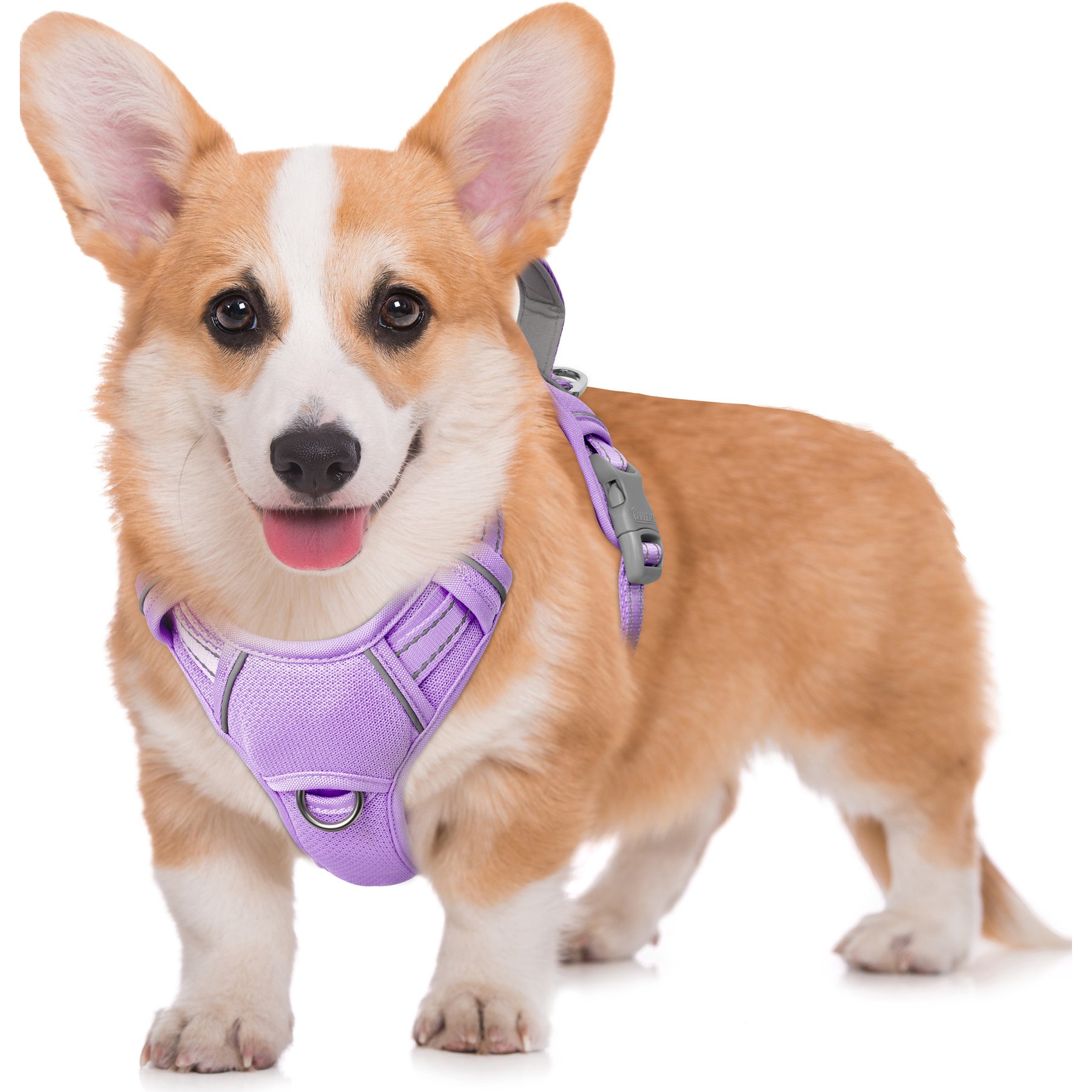 BARKBAY Air Reflective No-Pull Dog Harness with ID Tag Pocket, Violet Purple, Medium: 22.5 to 28-in chest