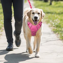 BARKBAY Air Reflective No-Pull Dog Harness with ID Tag Pocket, Pink, X-Large: 30 to 38-in chest slide 2 of 9