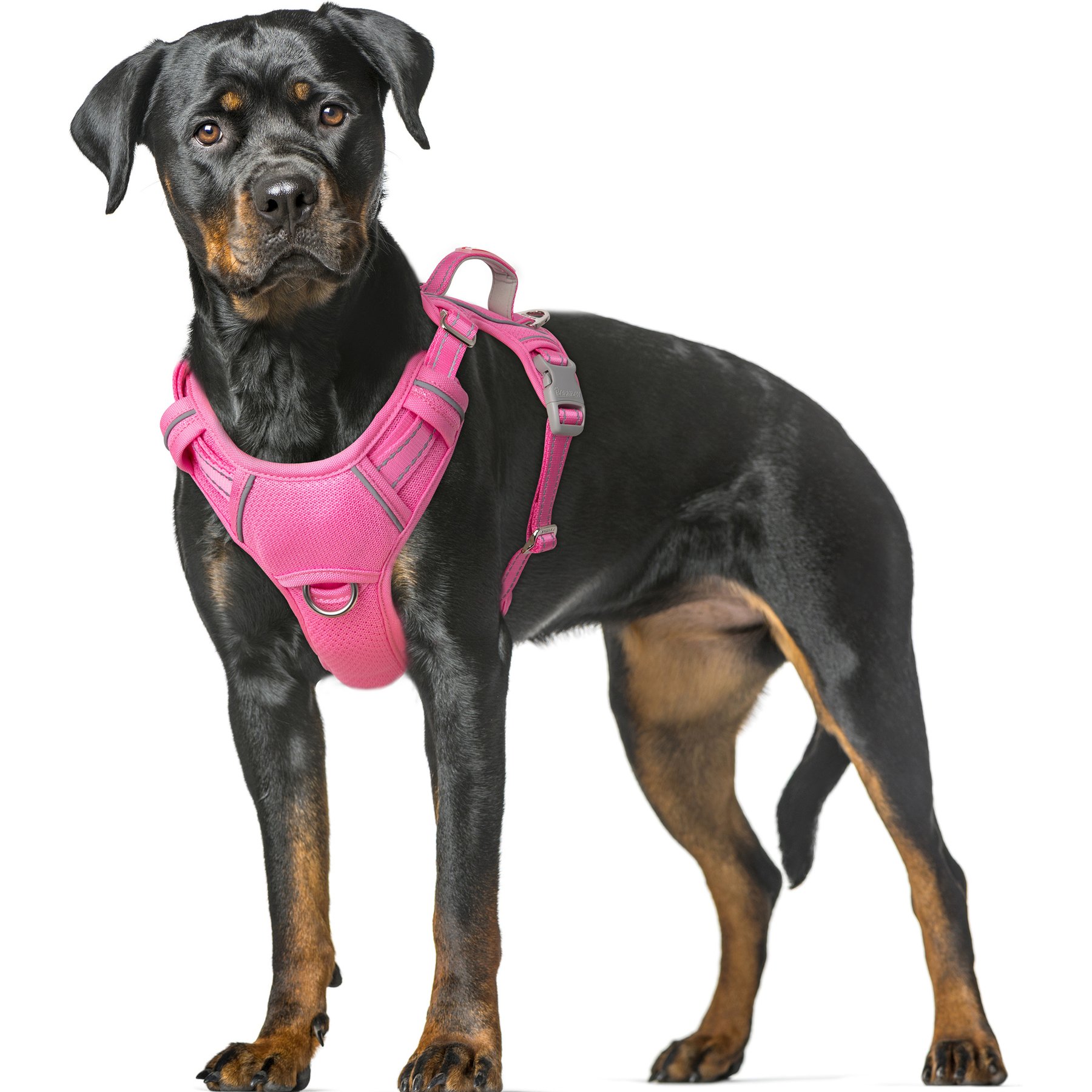 BARKBAY Air Reflective No-Pull Dog Harness with ID Tag Pocket, Pink, X-Large: 30 to 38-in chest