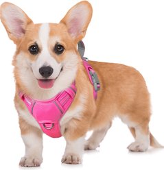 BARKBAY Air Reflective No-Pull Dog Harness with ID Tag Pocket, Pink, Medium: 22.5 to 28-in chest