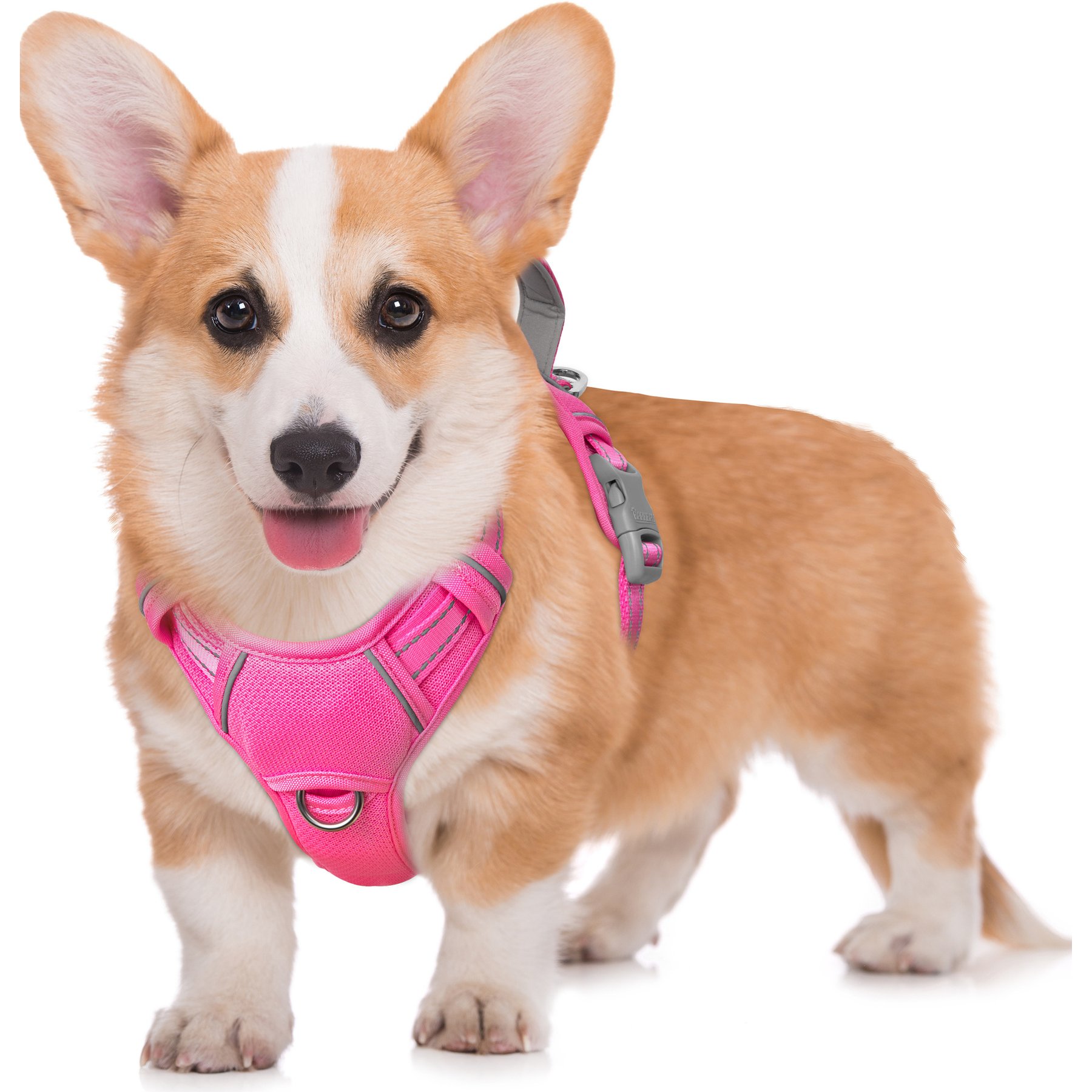 BARKBAY Air Reflective No-Pull Dog Harness with ID Tag Pocket, Pink, Medium: 22.5 to 28-in chest