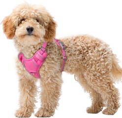 BARKBAY Air Reflective No-Pull Dog Harness with ID Tag Pocket, Pink, X-Small: 15.5 to 19.5-in chest slide 1 of 9