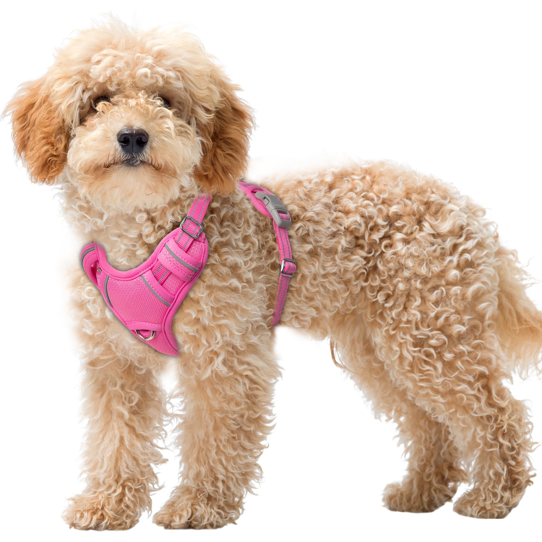 BARKBAY Air Reflective No-Pull Dog Harness with ID Tag Pocket, Pink, X-Small: 15.5 to 19.5-in chest