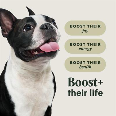 Show full view: Instinct RawBoost Small Breed High Protein Real Chicken Recipe Dry Dog Food, 10-lb bag slide 6 of 12