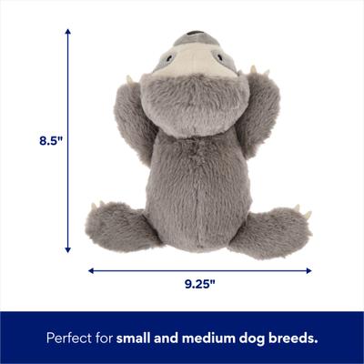 Show full view: Frisco Sloth Plush Squeaky Dog Toy, Small/Medium slide 2 of 7
