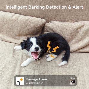 Arenti P3TT 3MP UHD Dual-Lens Indoor Pan-Tilt Dog Camera