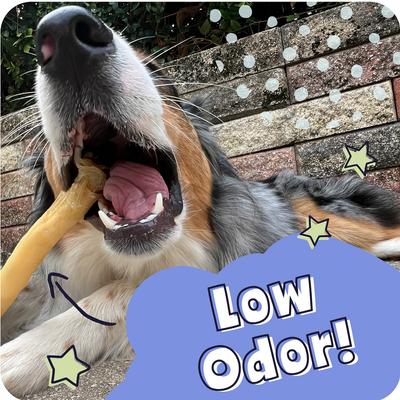 Show full view: Pawstruck All-Natural Roasted Collagen Sticks Dog Treats, Large, 5 count slide 8 of 11