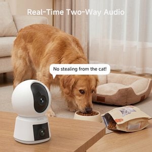 Arenti P3TT 3MP UHD Dual-Lens Indoor Pan-Tilt Dog Camera