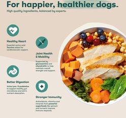 Jinx Senior Chicken, Brown Rice & Sweet Potato Kibble Dry Dog Food, 23.5-lb bag slide 2 of 9