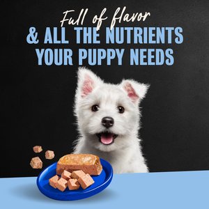 Cesar Puppy Classic Loaf in Sauce Chicken & Beef Recipe Small Breed Wet Dog Food Trays, 3.5-oz, case of 24