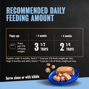 Cesar Puppy Classic Loaf in Sauce Chicken & Beef Recipe Small Breed Wet Dog Food Trays, 3.5-oz, case of 24