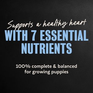 Cesar Puppy Classic Loaf in Sauce Chicken & Beef Recipe Small Breed Wet Dog Food Trays, 3.5-oz, case of 24