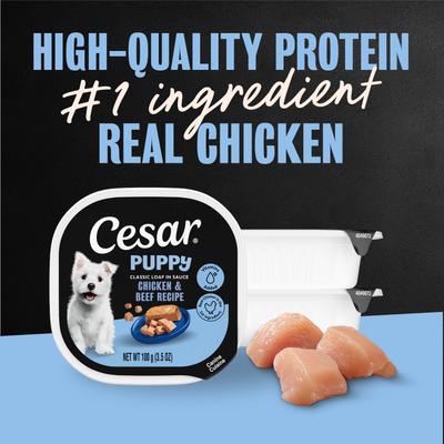 Show full view: Cesar Puppy Classic Loaf in Sauce Chicken & Beef Recipe Small Breed Wet Dog Food Trays, 3.5-oz, case of 24 slide 5 of 12