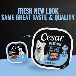 Cesar Puppy Classic Loaf in Sauce Chicken & Beef Recipe Small Breed Wet Dog Food Trays, 3.5-oz, case of 24