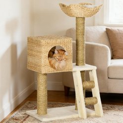 Cesicia Cattail Weave 39.5-in Cat Tree, Natural
