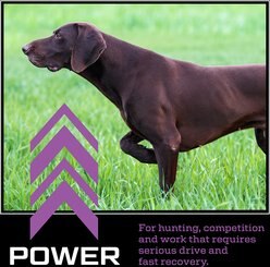 Kinetic Performance Power 30K Formula Dry Dog Food, 35-lb bag slide 2 of 8