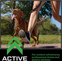 Kinetic Performance Active 26K Formula Dry Dog Food, 35-lb bag slide 2 of 8