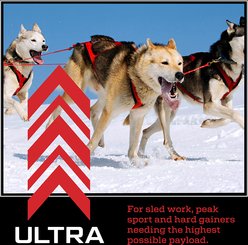 Kinetic Performance Ultra 32K Formula Dry Dog Food, 35-lb bag slide 2 of 8
