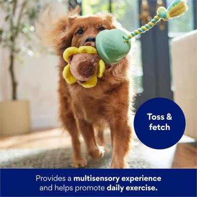 Show full view: Frisco Capybara Flower 3-in-1 Rubber, Rope & Plush Squeaky Dog Toy, Medium slide 4 of 7