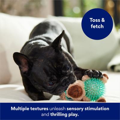 Show full view: Frisco Capybara Plush with TPR Ball Squeaky Dog Toy, Small/Medium slide 6 of 8