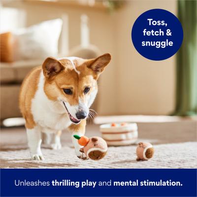 Show full view: Frisco Capybara & Hot Tub Interactive Plush with Fetch Squeaky Tennis Ball Dog Toy, Medium slide 6 of 8